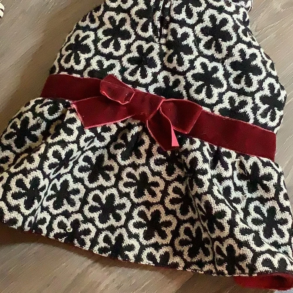 Fancy Tapestry & Velvet Dog Coat